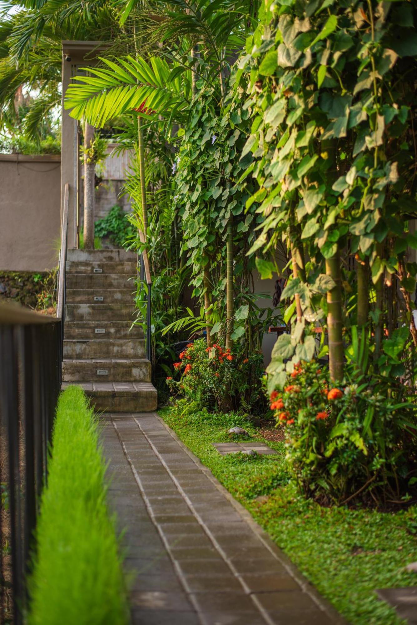 Pangkung Sari Bed And Breakfast Canggu Eksteriør billede