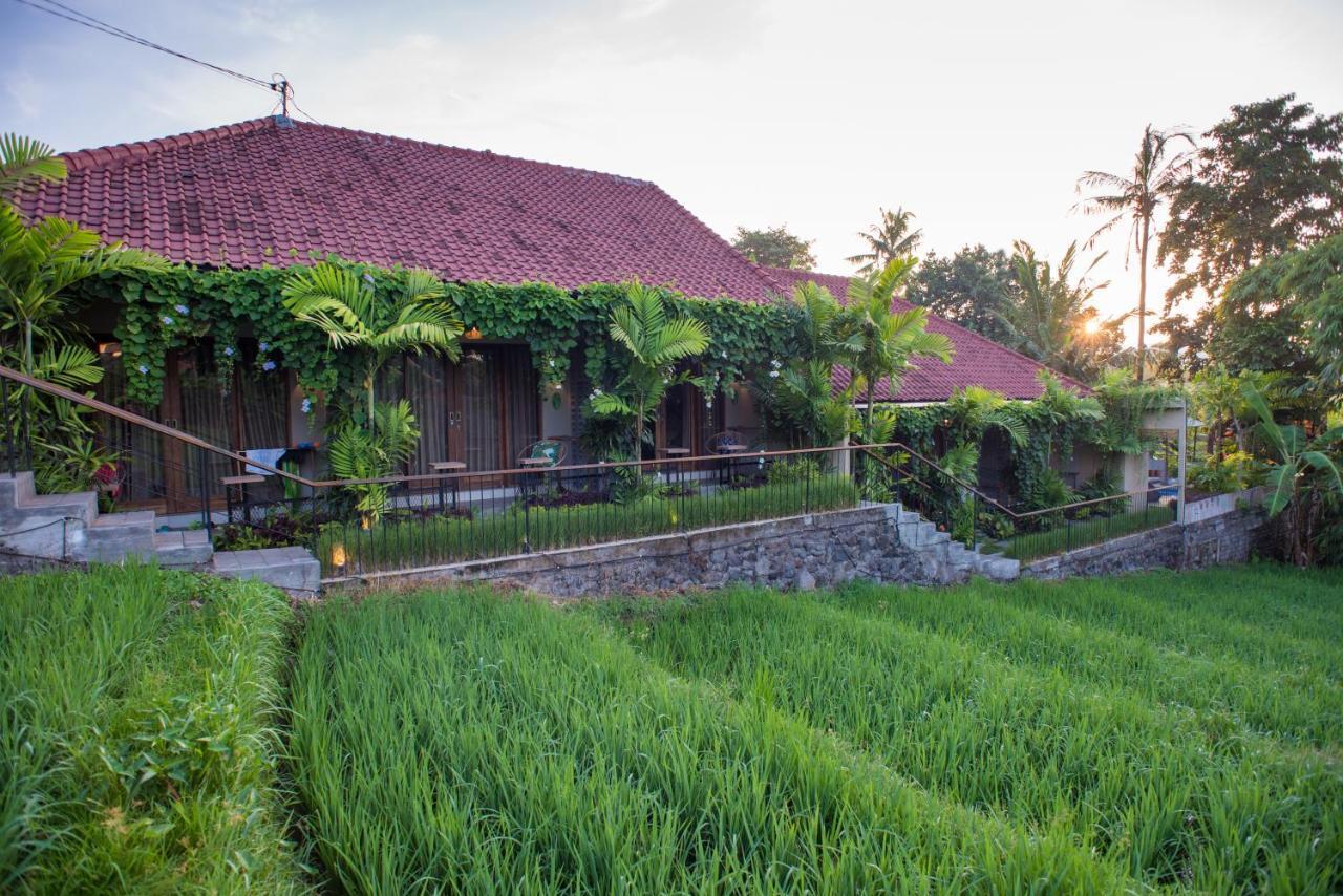 Pangkung Sari Bed And Breakfast Canggu Eksteriør billede